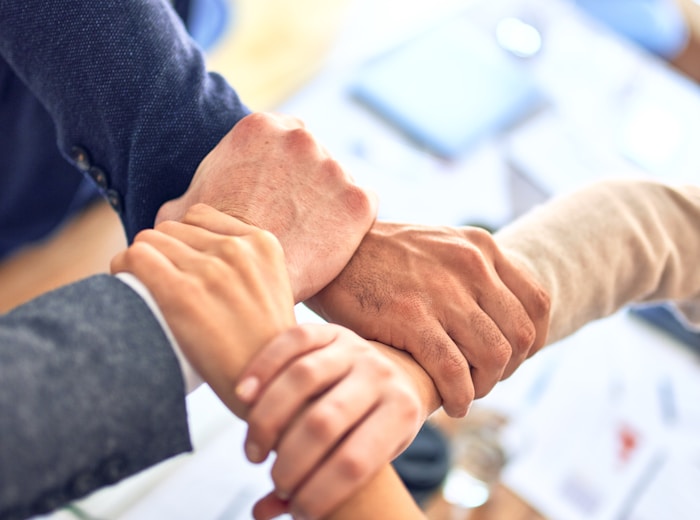 SAP consulting professionals